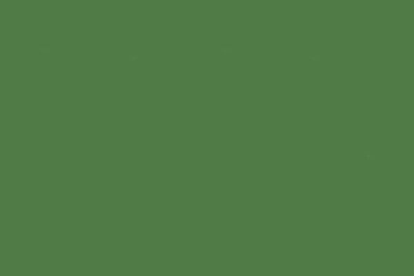 Chapadur Pizarron Verde